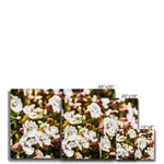 Sea Campion Canvas
