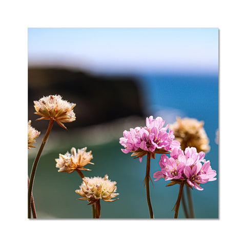 Flores Fine Art Print
