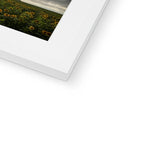 Rhossili Sunflowers Framed & Mounted Print