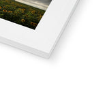 Rhossili Sunflowers Framed & Mounted Print