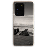 Shipwreck Eco Phone Case