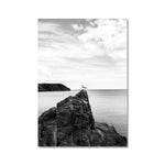Gower Seagull Fine Art Print
