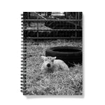 Little Lamb Notebook