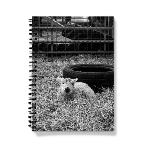 Little Lamb Notebook