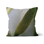 Lysichiton Cushion