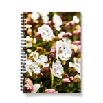 Sea Campion Notebook
