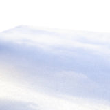 DC-3 Plane Wreck Canvas