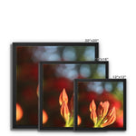 Fiore Italiano Framed Canvas