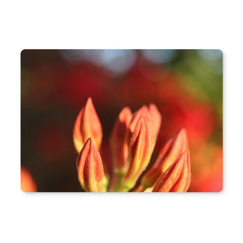 Fiore Italiano Placemat