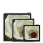 Elle Maree Framed Canvas