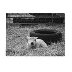 Little Lamb Glass Chopping Board