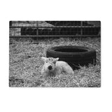 Little Lamb Glass Chopping Board