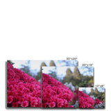 Clyne Gardens Canvas