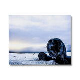 DC-3 Plane Wreck Canvas