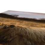 Highland Cow Canvas