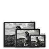 Whitesands Pony Framed Canvas